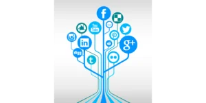 réseaux sociaux