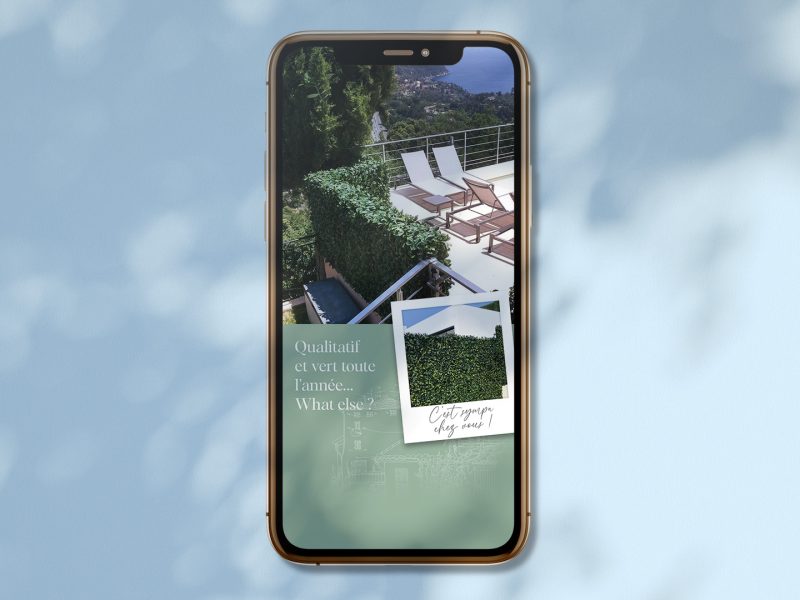 abyxo_canissea_post_2